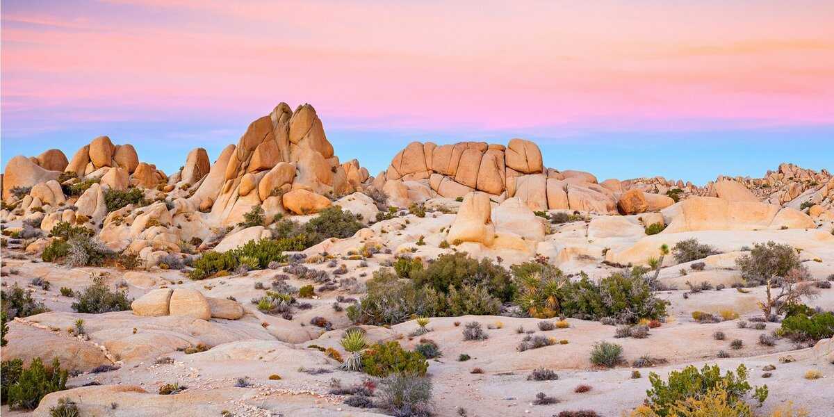Targus Posts v.5.1.1 for Mojave 10.14